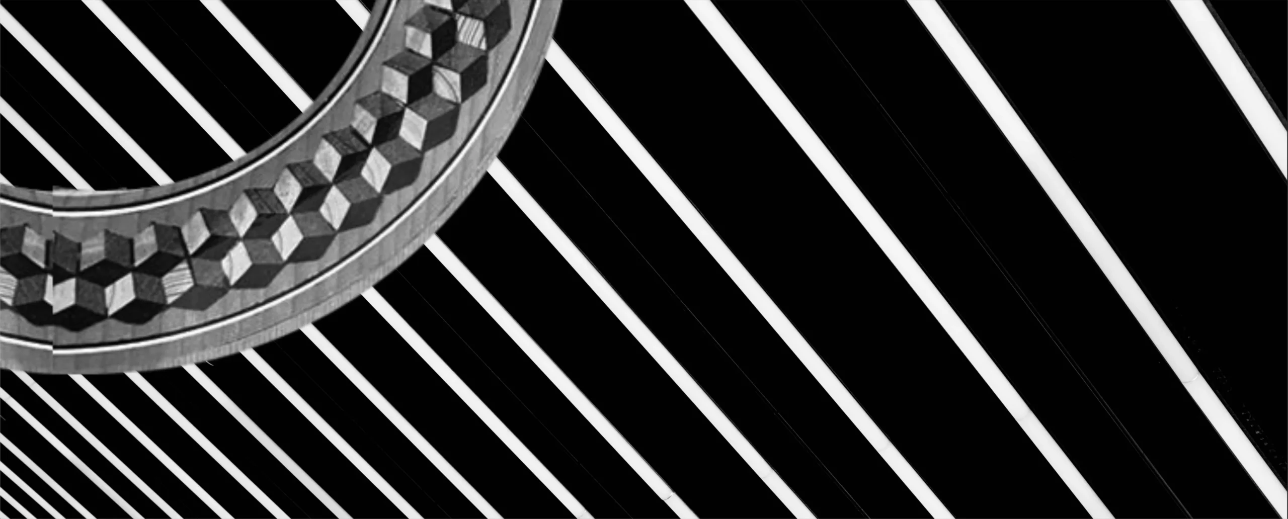 Cuerdas en blanco y negro de Guitarras artesanas
